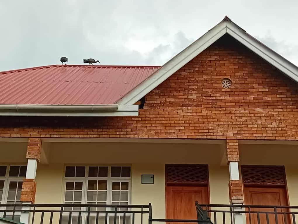 Seven Seven B&B Arusha Buitenkant foto